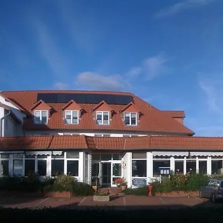 Kiebitz An Der Ostsee