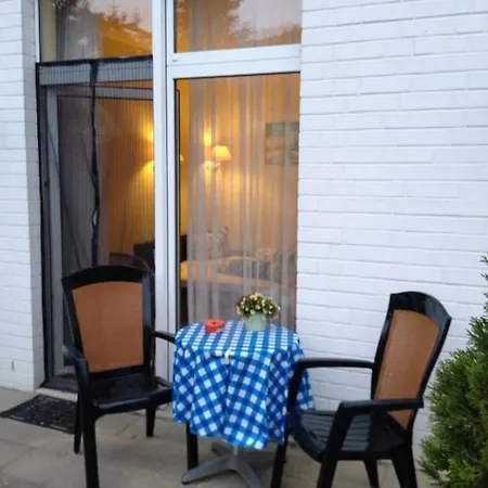 Kiebitz An Der Ostsee