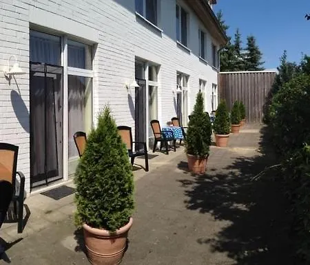 Kiebitz An Der Ostsee