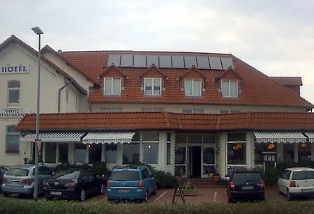 Kiebitz An Der Ostsee