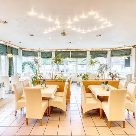 Kiebitz An Der Ostsee