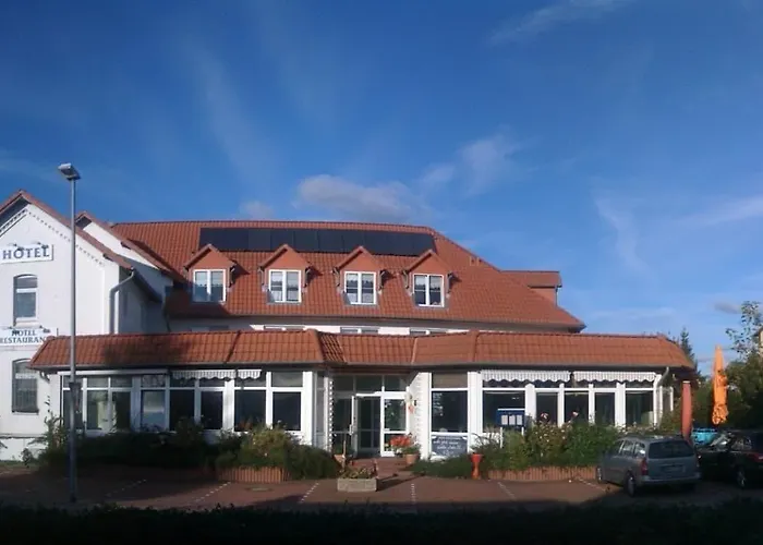 Kiebitz An Der Ostsee