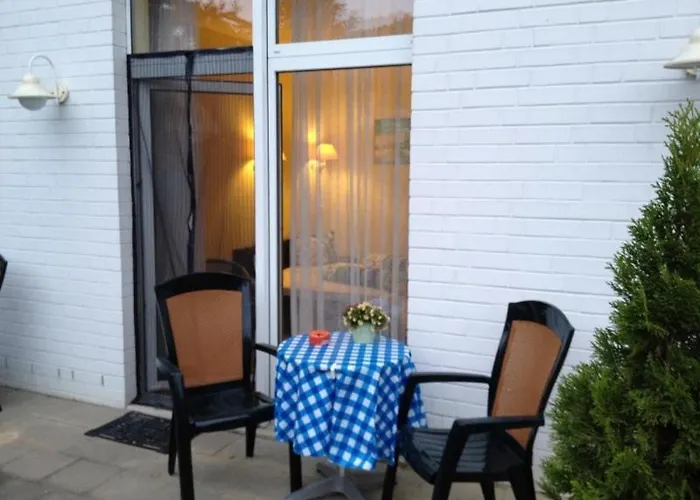 Kiebitz An Der Ostsee