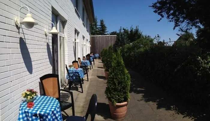 Kiebitz An Der Ostsee Börgerende-Rethwisch