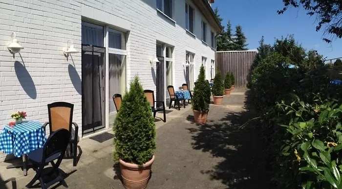 Kiebitz An Der Ostsee