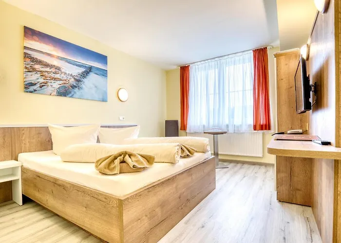 Kiebitz An Der Ostsee