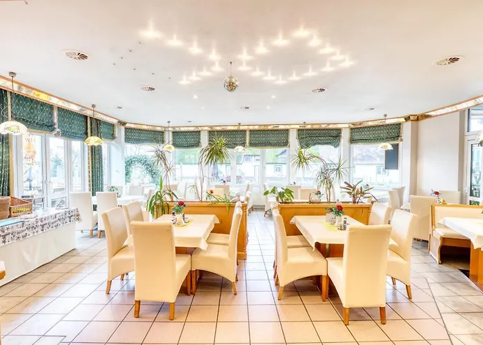 Kiebitz An Der Ostsee